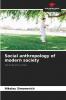 Social anthropology of modern society