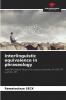 Interlinguistic equivalence in phraseology
