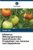 Effektive Mikroorganismen beeinflussen die Produktion von Gemüse und Sojabohnen