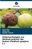 Untersuchungen zur Welkekrankheit der Guave (Psidium guajava L.)