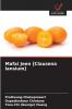 Mafai Jeen [Clausena lansium]
