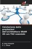 Valutazione delle prestazioni dell'architettura SRAM 3D con TSV coassiale