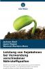 Leistung von Sojabohnen bei Verwendung verschiedener Nährstoffquellen