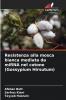 Resistenza alla mosca bianca mediata da miRNA nel cotone (Gossypium Hirsutum)