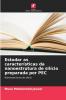 Estudar as características da nanoestrutura de silício preparada por PEC