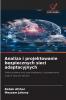 Analiza i projektowanie bezpiecznych sieci adaptacyjnych