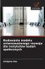 Budowanie modelu zrównoważonego rozwoju dla instytutów badań społecznych