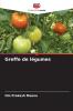 Greffe de légumes