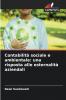 Contabilità sociale e ambientale