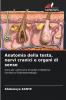 Anatomia della testa nervi cranici e organi di senso