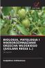BIOLOGIA PATOLOGIA I MIKROROZMNAŻANIE ORZECHA WŁOSKIEGO (JUGLANS REGIA L.)