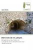 Retour de flammes