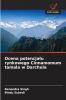 Ocena potencjału rynkowego Cinnamomum tamala w Darchula