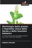 Morfologia delle piante