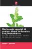 Morfologia vegetal