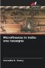Microfinanza in India