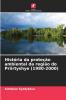 História da proteção ambiental da região do Priirtyshye (1980-2000)
