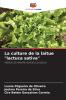 La culture de la laitue lactuca sativa