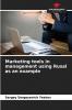 Marketing tools in management using Rusal as an example