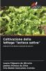 Coltivazione della lattuga lactuca sativa