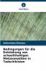 Bedingungen für die Entstehung von scheelithaltigen Metasomatiten in Tadschikistan