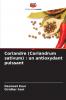 Coriandre (Coriandrum sativum)