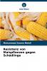 Resistenz von Maispflanzen gegen Schädlinge