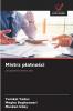 Mistrz płatności