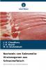 Nachweis von Salmonella-Virulenzgenen aus Schweinefleisch