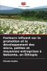 Facteurs influant sur la promotion et le développement des micro petites et moyennes entreprises à Nekemte en Éthiopie