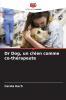 Dr Dog un chien comme co-thérapeute