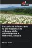 Fattori che influenzano la promozione e lo sviluppo delle microimprese a Nekemte Etiopia