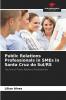 Public Relations Professionals in SMEs in Santa Cruz do Sul/RS