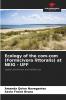 Ecology of the com-com (Formicivora littoralis) at NEIG - UFF