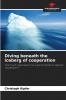 Diving beneath the iceberg of cooperation