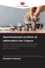 Amortissement accéléré et atténuation des risques