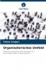 Organisatorisches Umfeld