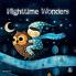 Nighttime Wonders