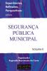 Experi ncias Reflex es Perspectivas Sobre Seguran a P bli