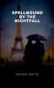 Spellbound by the Nightfall