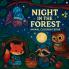 Night in the Forest - Animal Coloring Book
