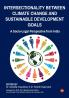 Intersectionality Between Climate Change and Sustainable Development Goals