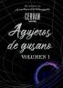 Agujeros de gusano