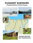 Pleasant Suriname