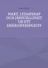Makt ledarskap och j��mst��lldhet ur ett energiperspektiv