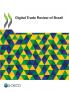 Digital Trade Review of Brazil