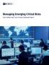 Managing Emerging Critical Risks