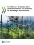 Condiciones propicias para el financiamiento y la inversión en bioenergía en Colombia