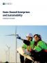 State-Owned Enterprises and Sustainability