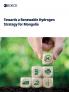 Towards a Renewable Hydrogen Strategy for Mongolia